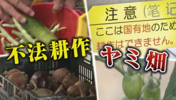 名古屋民が国の土地を開墾