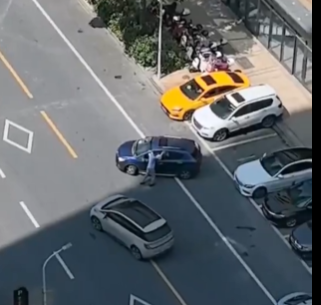 中国人が教える車をバックで駐車スペースに入れる方法