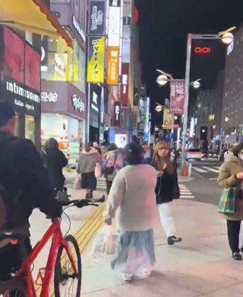【中国人女「この歩道は私のもの」】急に暴れる中国人女性、自国に帰って自国でしてくれ