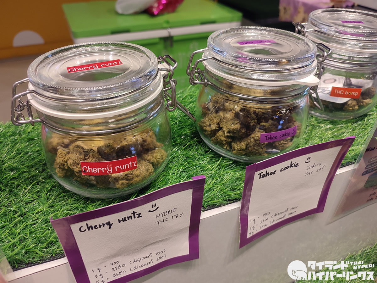 タイで医療以外の大麻使用を禁止へ～「最終的には再び“麻薬”に戻す」
