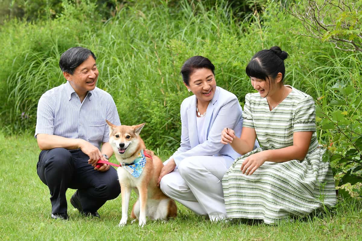 天皇ご一家の愛犬「由莉」死ぬ、宮内庁発表、ご静養先や誕生日写真にも登場