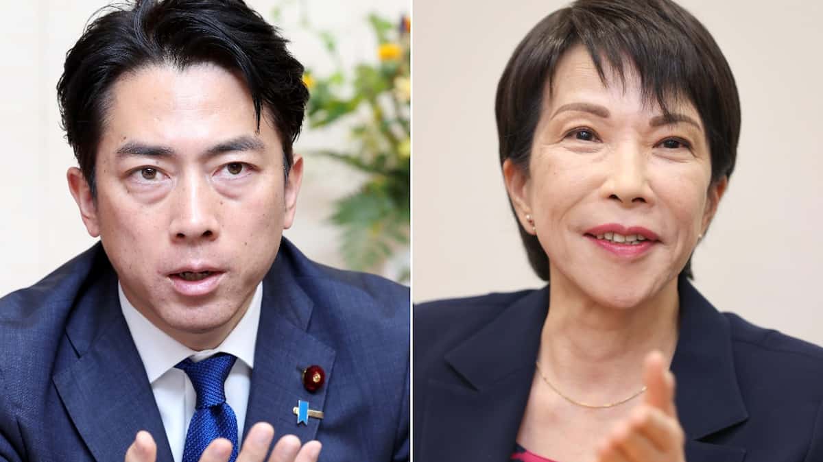 小泉進次郎、女性・７０歳以上・公明党支持層に人気