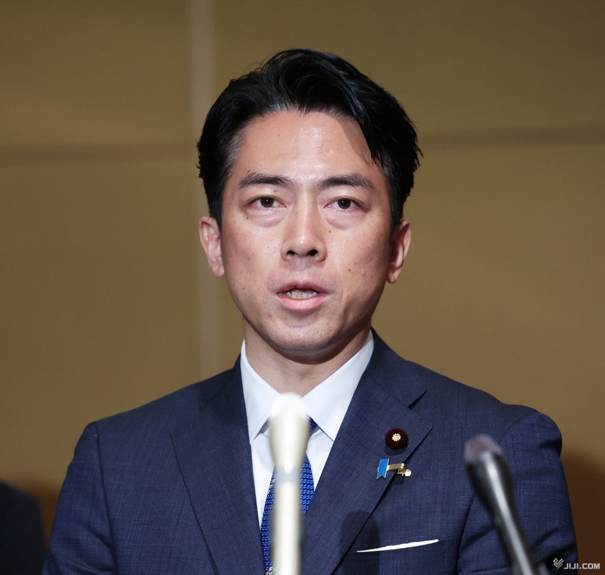 小泉進次郎農水相の資産公開