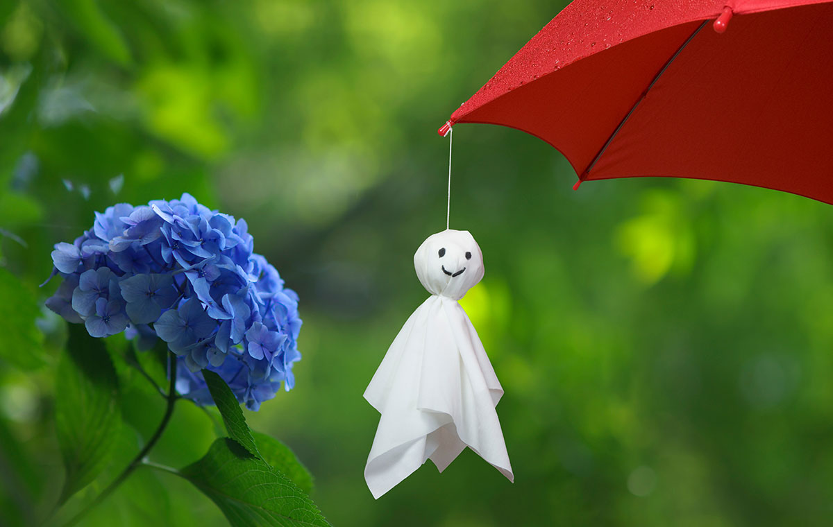 梅雨入り　好きな「雨」がテーマの楽曲ってある？
