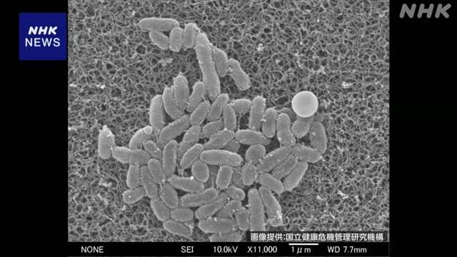 百日せき、全国の感染者数過去最多を更新　もう無理ぽぉ