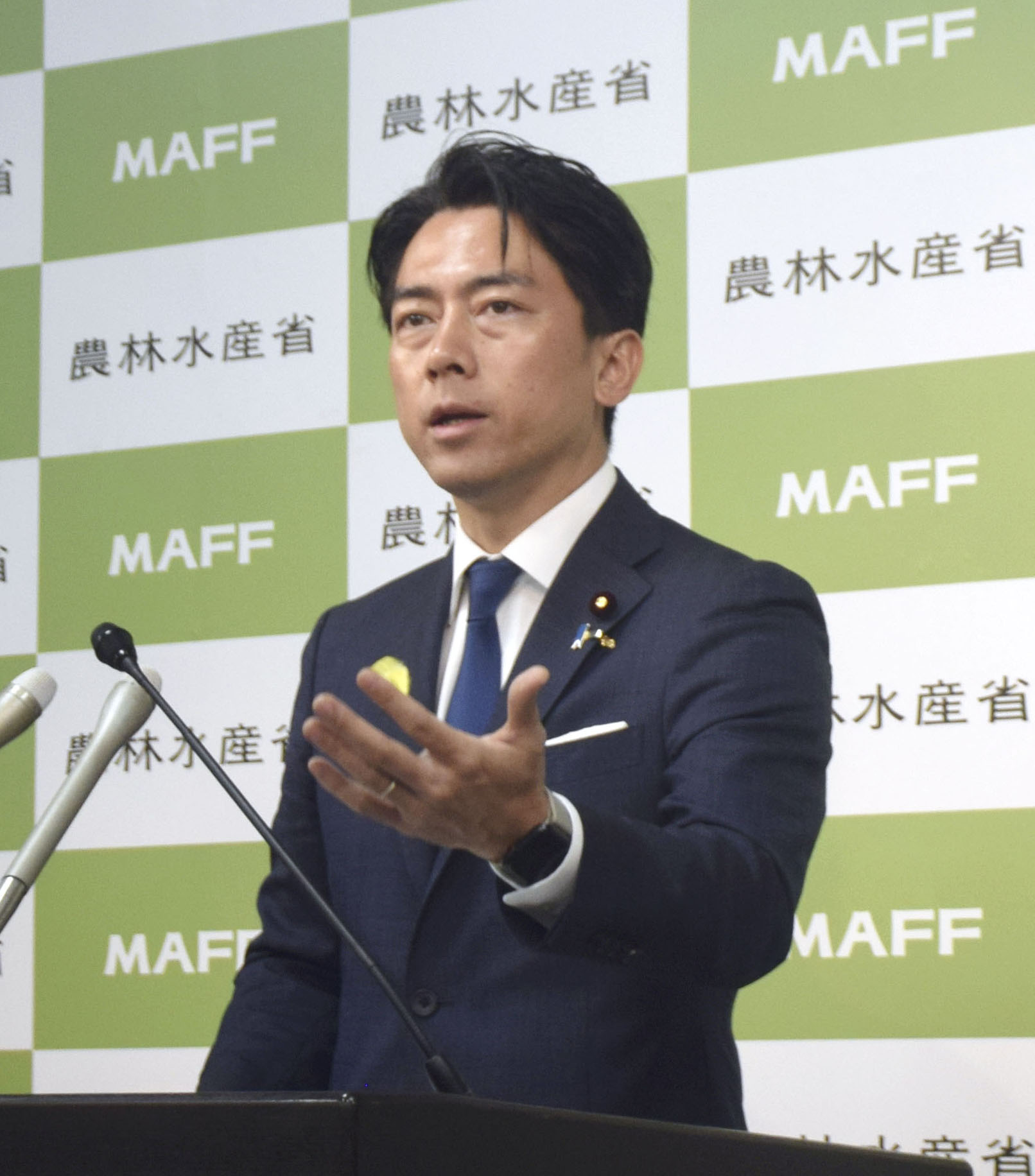 進次郎「ウナギ絶滅の恐れはない」