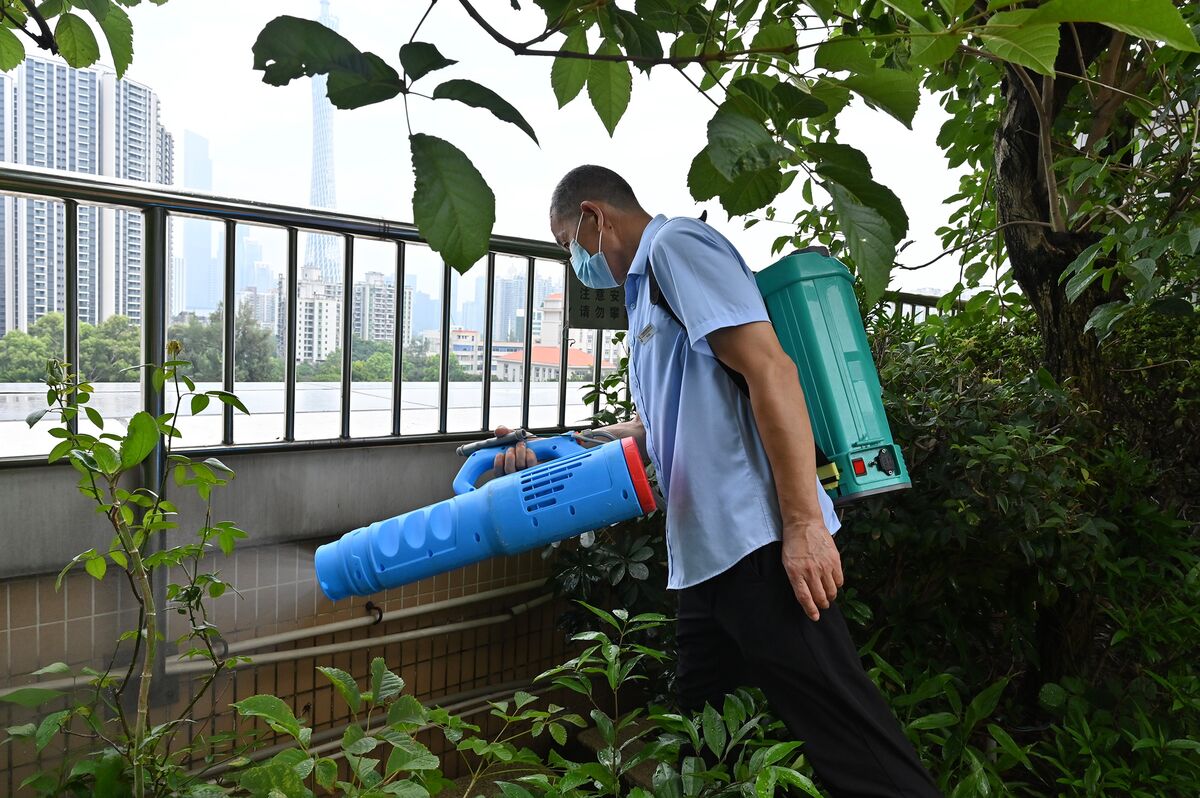 【感染症チクングニア熱が中国で流行】米疾病対策センター（ＣＤＣ）が渡航情報発出を準備・・・７月上旬に１件だった感染例が、現在では5000件近くに増えている