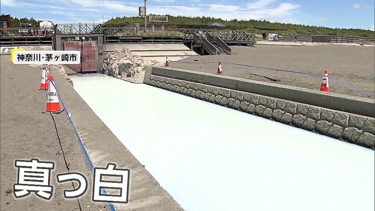 【神奈川・茅ヶ崎市】「手を触れないで」夏の海辺に異変…突然水路が真っ白に　市の簡易調査で有害物質確認されずも注意呼びかけ