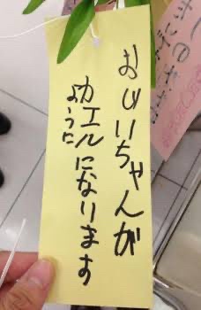 【画像】令和のZガキが短冊に書いたお願いがこちらｗｗｗｗｗｗｗ