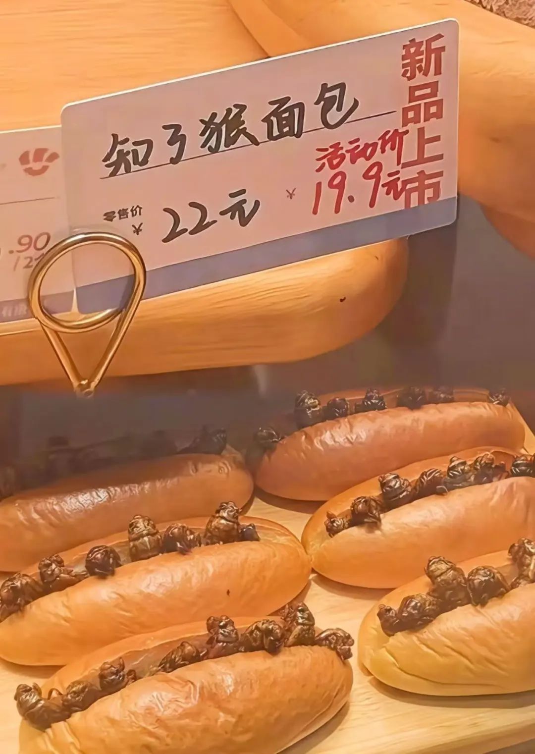 中国でセミの幼虫が人気に　素揚げが酒のつまみにピッタリ？1匹40円