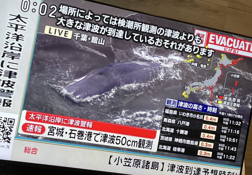 千葉県館山の海岸に何頭ものクジラが打ち上げられる