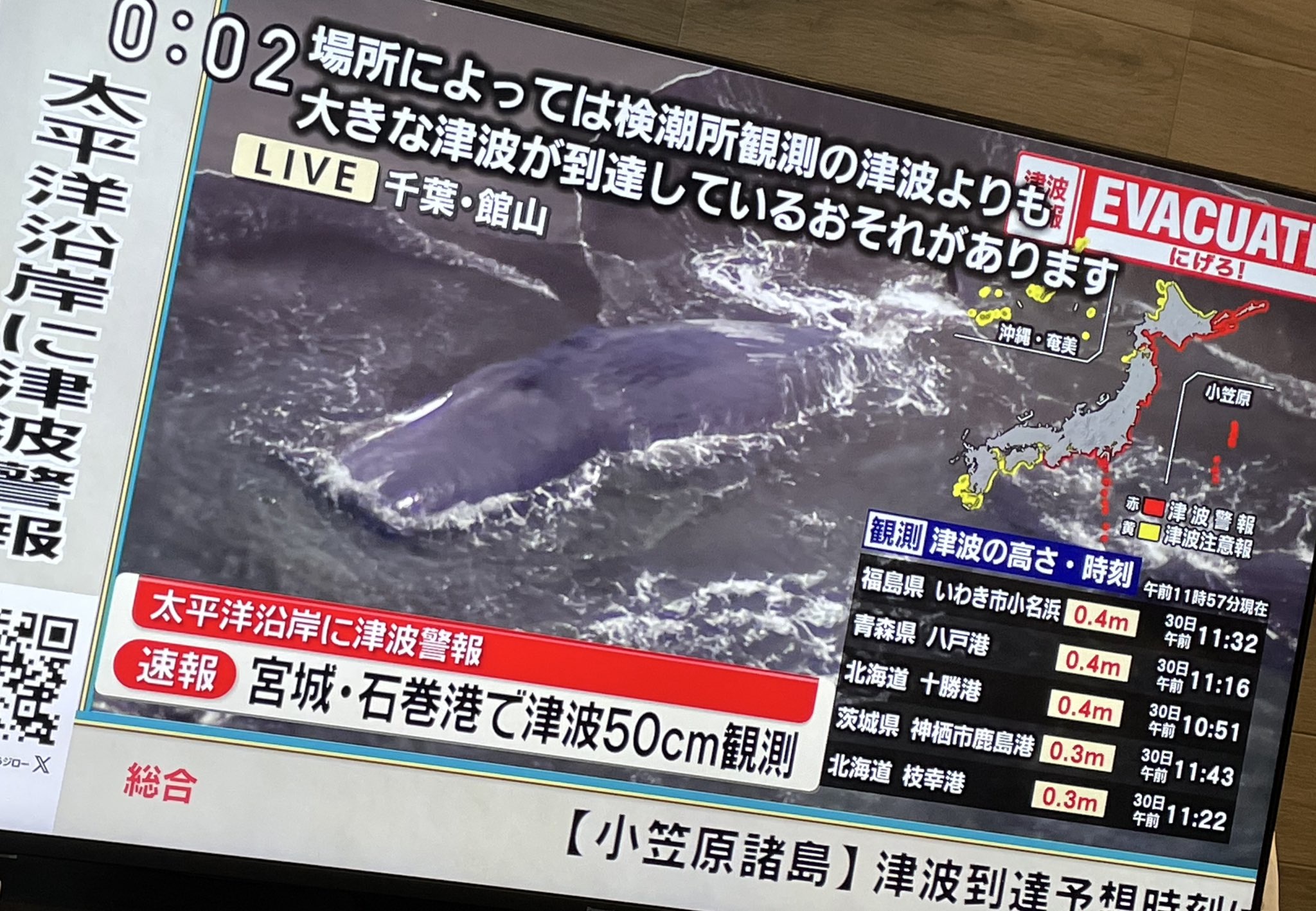 千葉県館山の海岸に何頭ものクジラが打ち上げられる