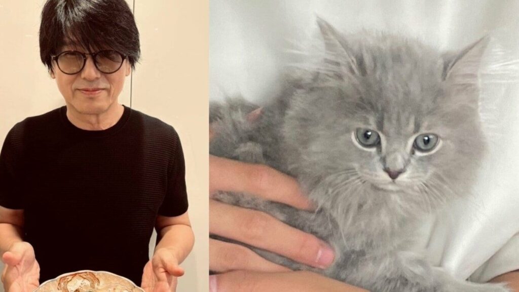 【 ねこ 】高橋克典さんが仔猫1頭を迎える 黒木瞳さん宅より 「なんて可愛い」「大切にします」