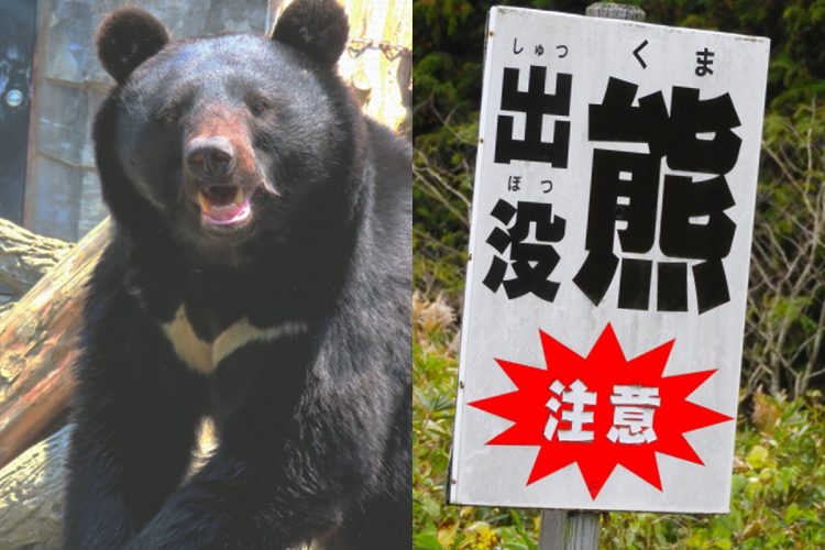 《またもクレーム殺到》「クマを殺すな」「クマがいる土地に人間が住んでるんだ！」