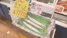 「まだ手が出ないですね」１尾９万９９９９円のサンマが札幌のスーパー店頭に