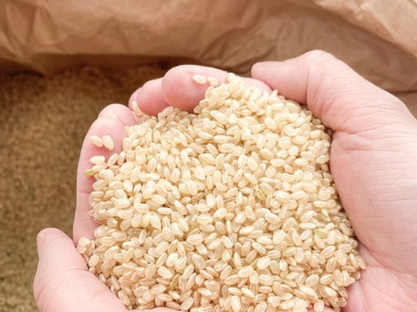 「精米したら30キロじゃない！」ホームセンターで怒る客に呆れる男性「算数が出来ない大人っているんですね」