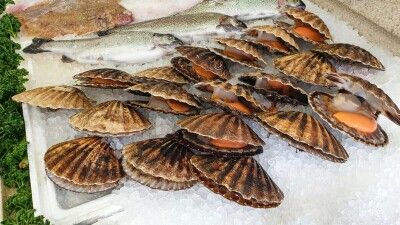 【「ひっそり」と】日本の水産物輸入再開、中国の苦しい事情―台湾メディア