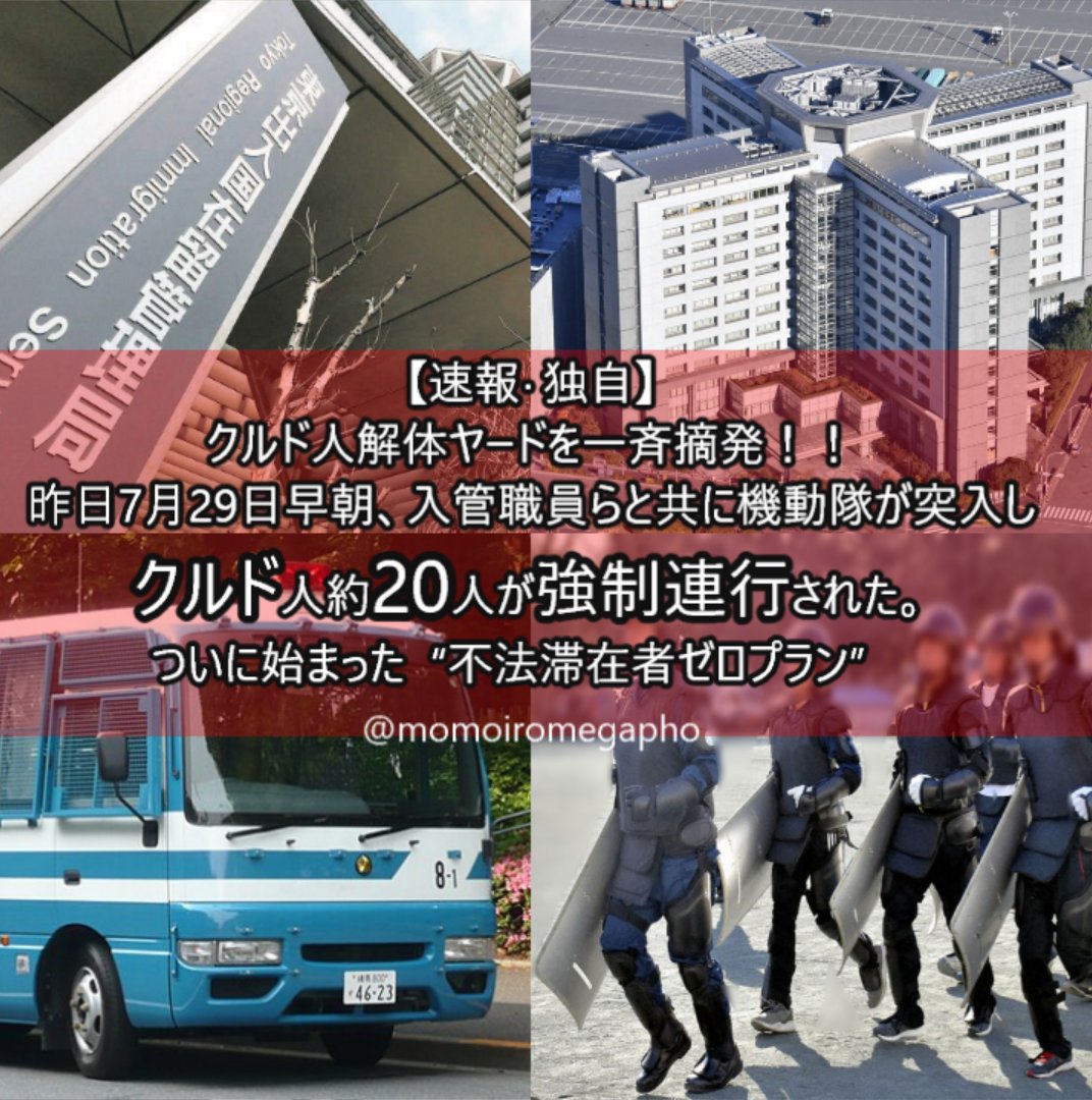 【やっとか！！】ク◯ド人ヤード一斉摘発開始！クルド人約20人が入管へ連行された。クルド人ビビりまくって仕事行ってない。逃げ惑う不法滞在者ども。震えて待て