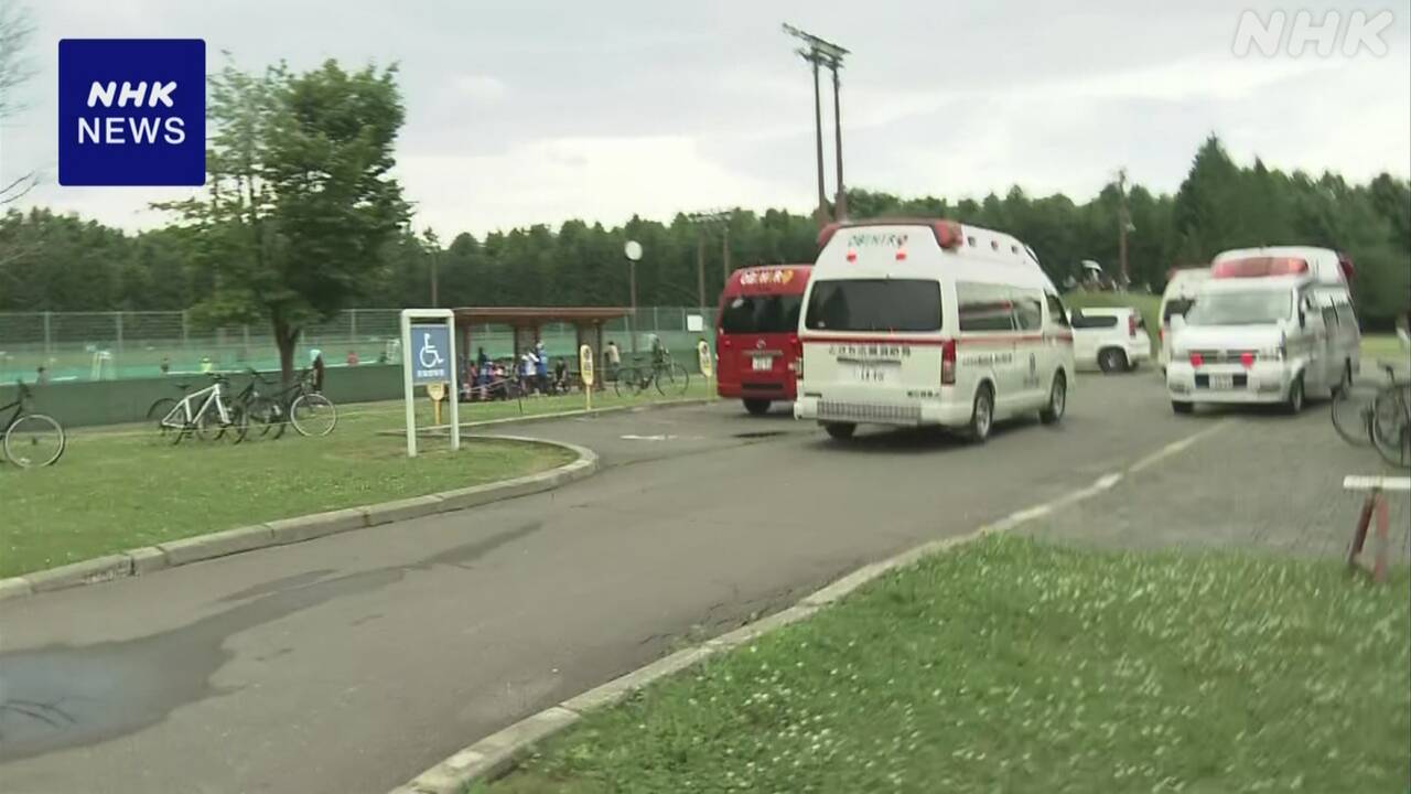 【北海道】芽室町 17人がハチに刺される いずれも意識あり