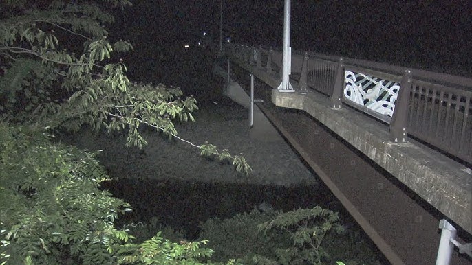 【岐阜】友人と川遊びをしていたベトナム人男性、流されて死亡  板取川