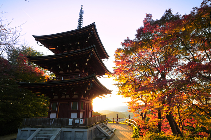 日本は観測史上最高の気温を毎年更新､中国は史上最大級の大洪水が連発 すでに温暖化の臨界点超えたぽい