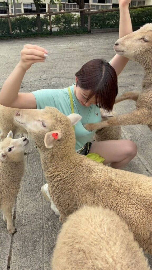 【芸能】高身長女子・モデル　〝胸を蹴られて〟大転倒！ショートパンツかじられ「押し倒されてる笑」「うらやましいです」