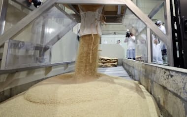 【農林水産省が調査結果を公表】コメ不足は猛暑も一因だった