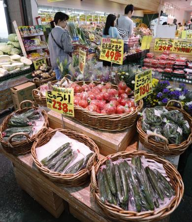 【野菜】キュウリとピーマンの価格、平年より3割高