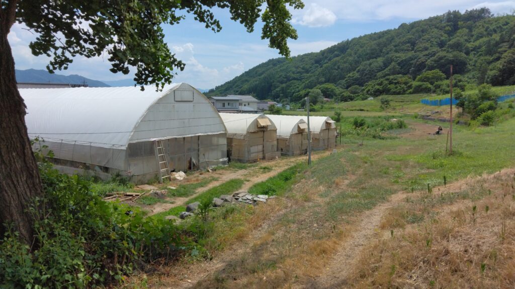 【長野】クマが鶏舎に侵入か　狙われたのはブランド地鶏「信州黄金シャモ」ニワトリ26羽が死ぬ　防犯カメラに成獣の映像