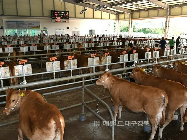 【韓国】連日の猛暑、一日に16万匹の家畜が死亡