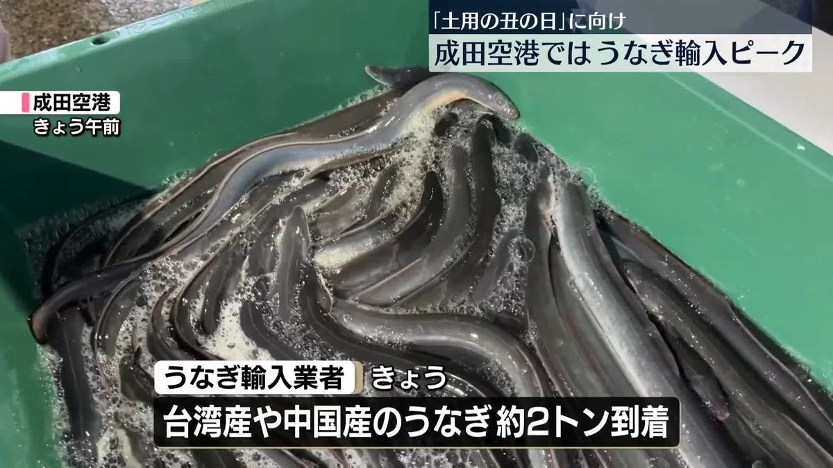 【食】「土用の丑の日」前に うなぎ輸入がピーク 成田空港