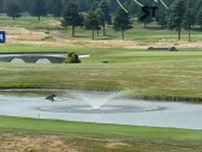 【（・(ｪ)・）】ゴルフ場の池を泳ぐクマ…　その後コースを疾走　プレー中の人も建物内に全員避難　北海道千歳市