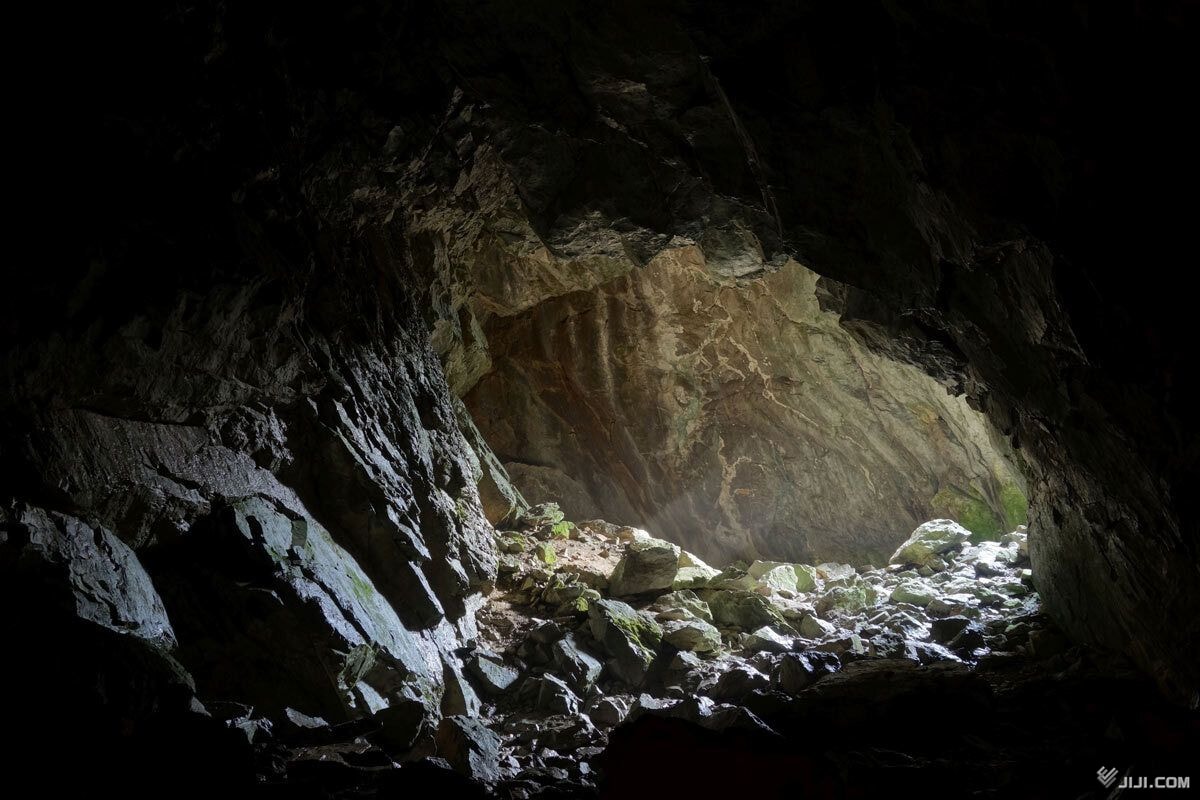 インド南部、人里離れた森の洞窟でロシア人女性と娘2人を保護　8年前から住み着き「幸せだった」