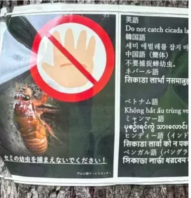 【公園でセミ乱獲の外国人】「幼虫を採取しないで！」注意しても「ナニ言ッテルカ、ワカラナイー」ペットボトルに大量に詰めて…専門家は「中国でセミは郷土の味、高潔のシンボル」