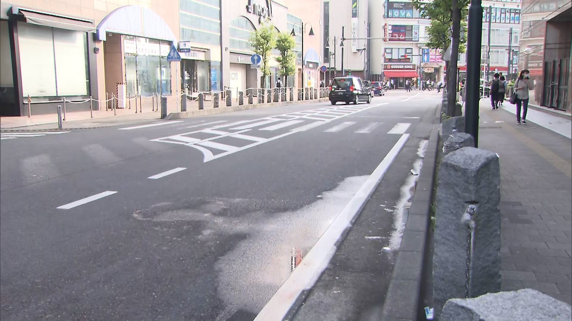 ピットブル逃走 → 翌日自宅に戻り死亡