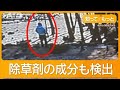 富士山が見えるよう他人の木を無断伐採した中国人ホテル経営者秋山雅治こと郭亜川に懲役1年求刑
