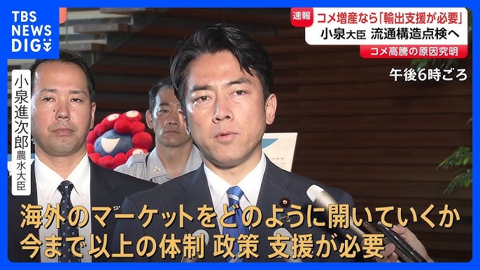 小泉進次郎「米の高騰はJAと関係ありませんでした」