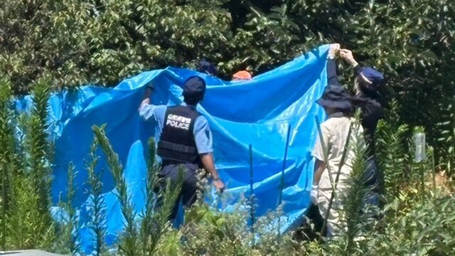 【（・(ｪ)・）】山形市に出没のクマを駆除、搬出　ブルーシートで囲み運び出す　県道の通行止めは解除