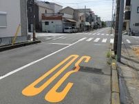 日本人２人をひき逃げし死傷させた川口ク◯ド人に懲役５年判決