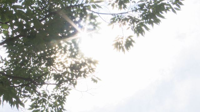 今日の最高気温ランキング　1位朝倉（福岡）38.4℃　2位日田（大分）38.0℃　ｷﾀ━━━(ﾟ∀ﾟ)━━━!!!!