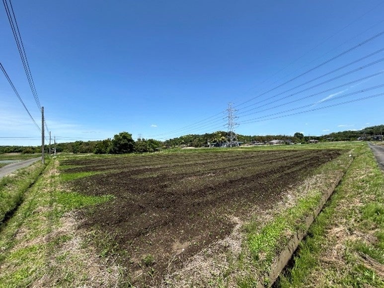 松屋フーズ他、田に水を張らない稲作「直播・節水型栽培」の共同実証を推進中