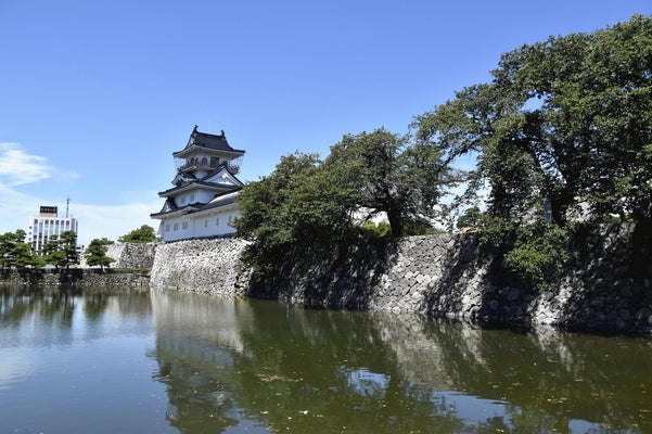 死んだサギ１００羽超　富山城址公園、原因調査へ