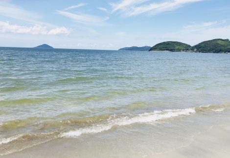 「ふん便性大腸菌」を大量に摂取出来るオトクな海水浴場ランキングがこちら。