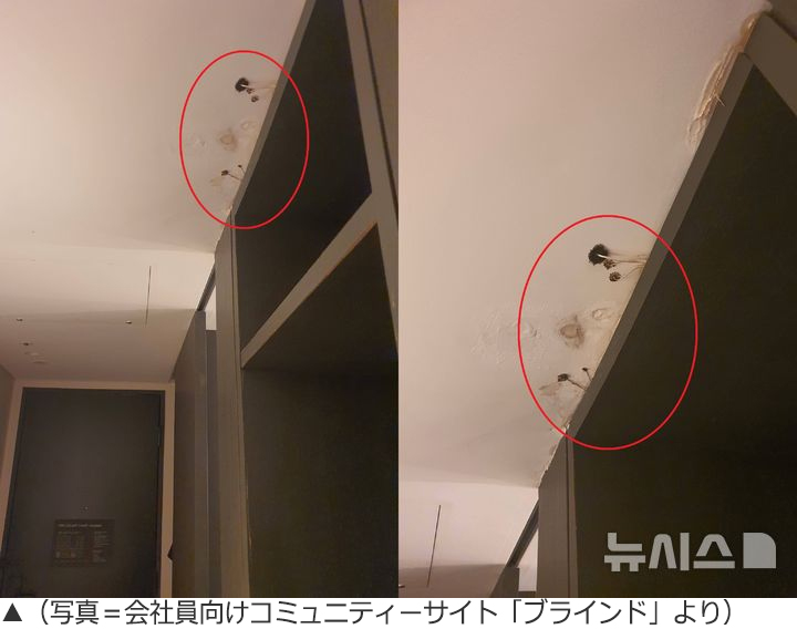 【韓国】ソウルの4つ星ホテルの天井にキノコ？ホテル側の対応に宿泊客は怒り心頭