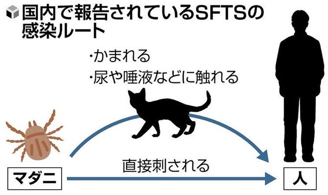 致死率２７％のマダニ感染症、年間患者１３５人とすでに最多更新…東日本に拡大