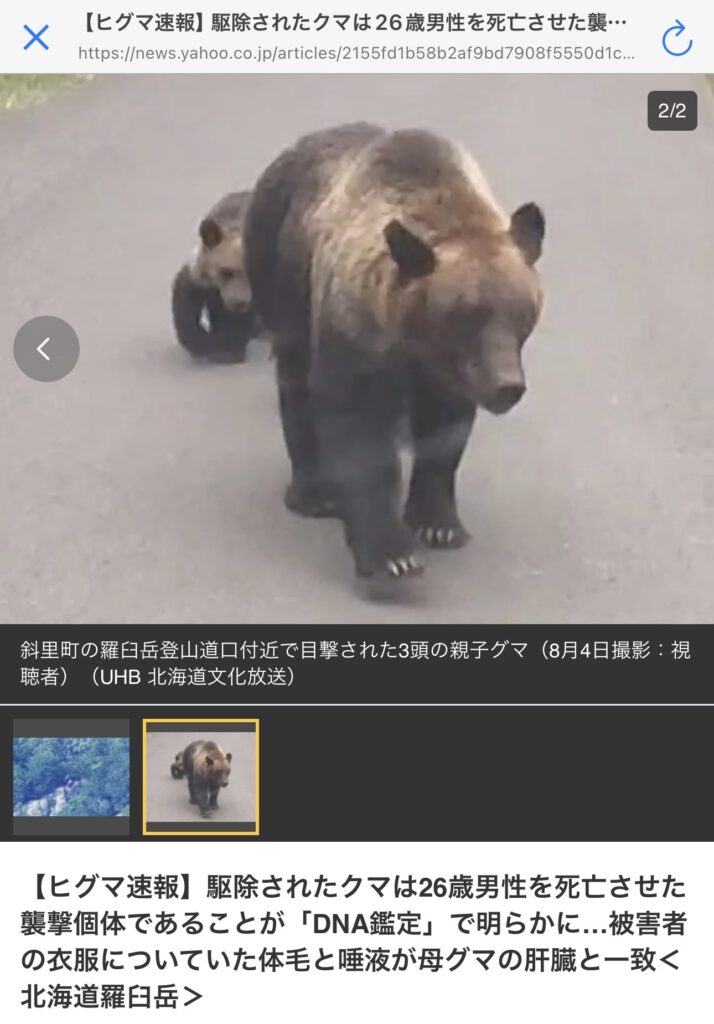 【画像】つい数日前まで子育てに必死だったこのシングルマザーのお母さん、子ども含め全員〇される