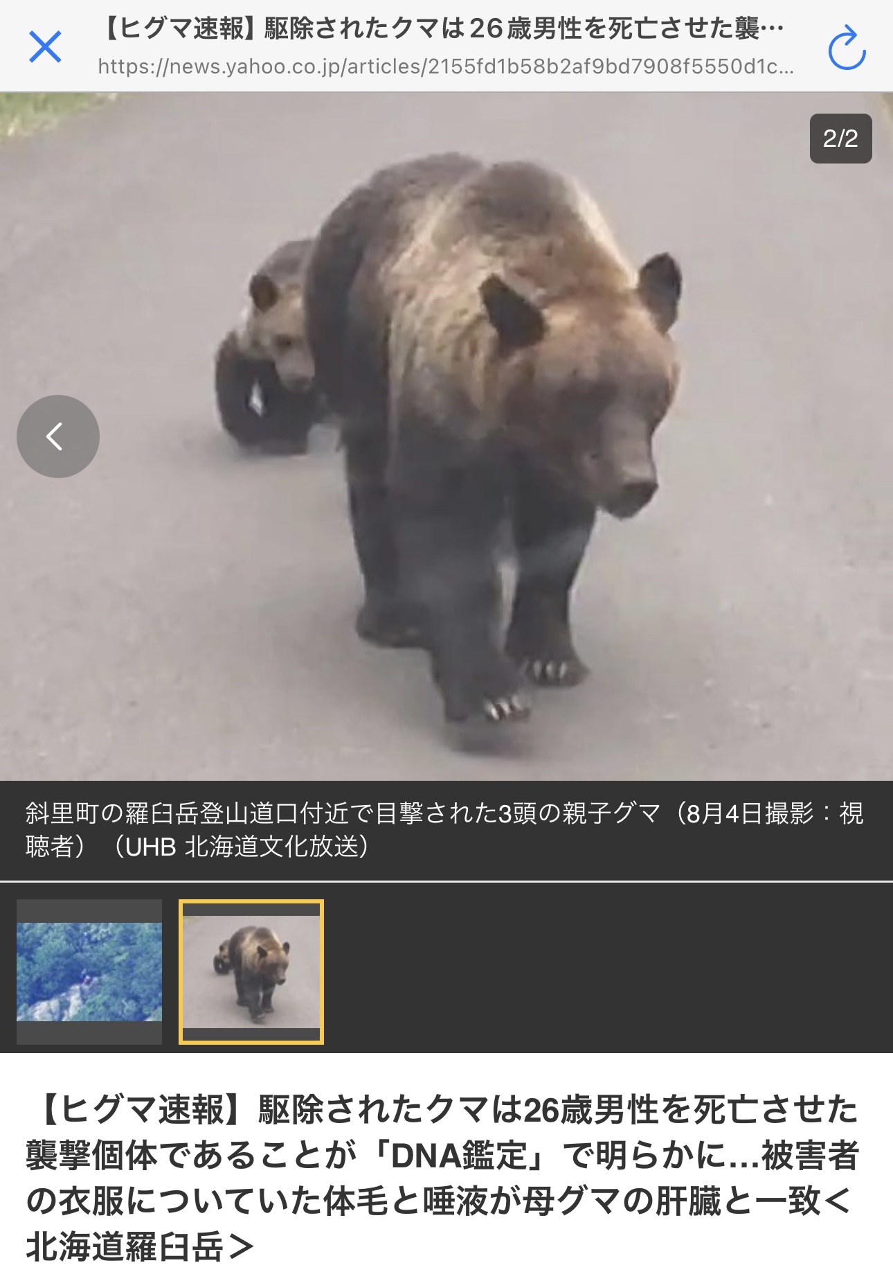 【画像】つい数日前まで子育てに必死だったこのシングルマザーのお母さん、子ども含め全員〇される