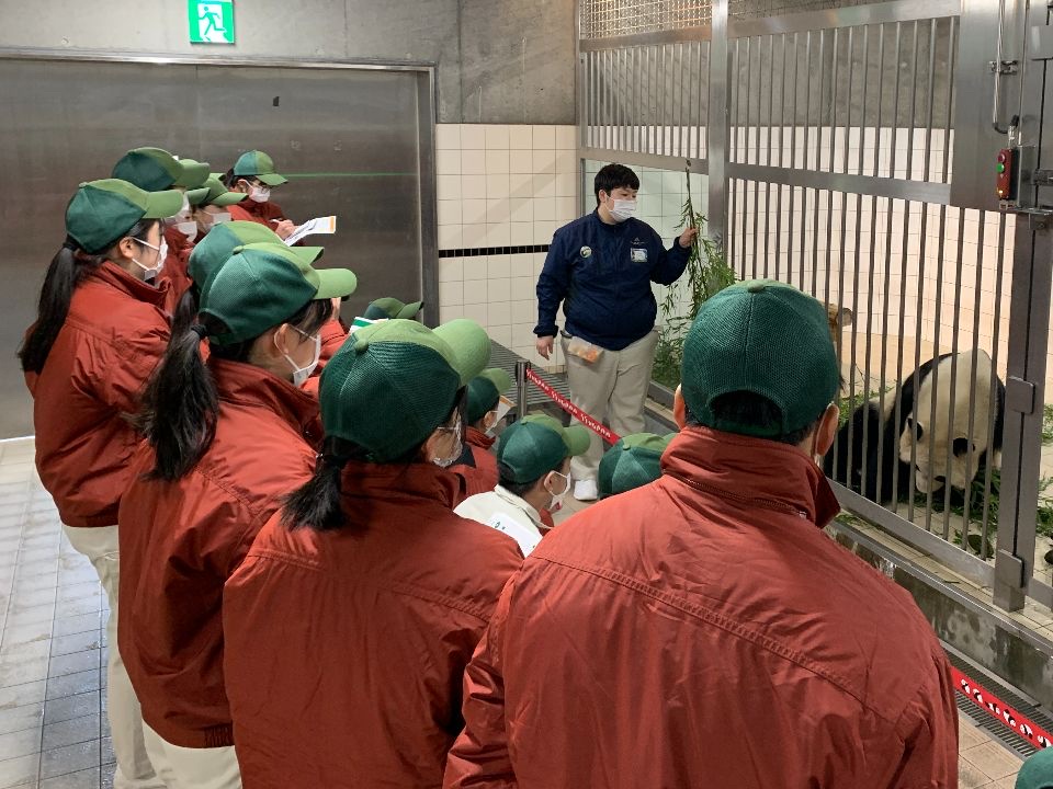 パンダがいなくなったアドベンチャーワールド、飼育員養成専門学校を閉校ww