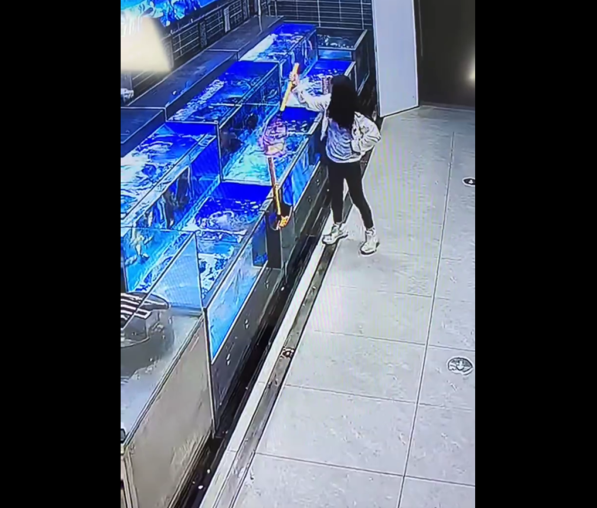 【中国】スーパーのいけすから出した魚を踏み付けて殺害した女性「死んでたから安く売って」