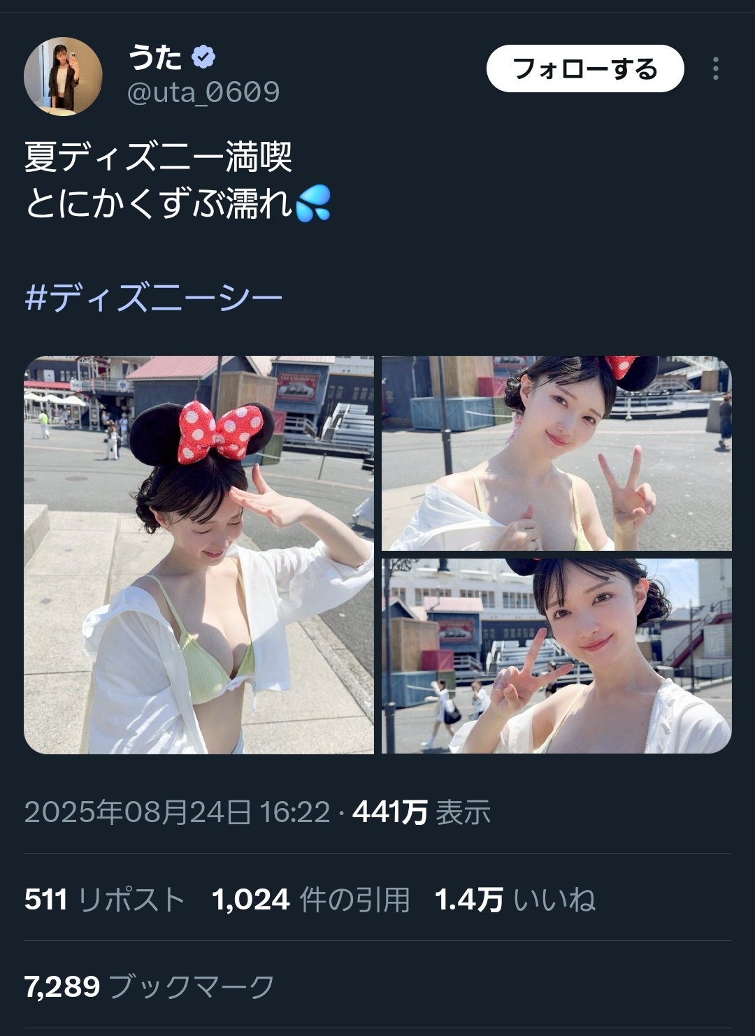 【炎上】フェミ「ｷﾞｬｵｵﾝ!ディズニーランドで薄着でアタシコしてる女がいる！出禁にしろ！」